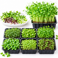 Microgreen