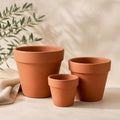 Set of three terracotta pots